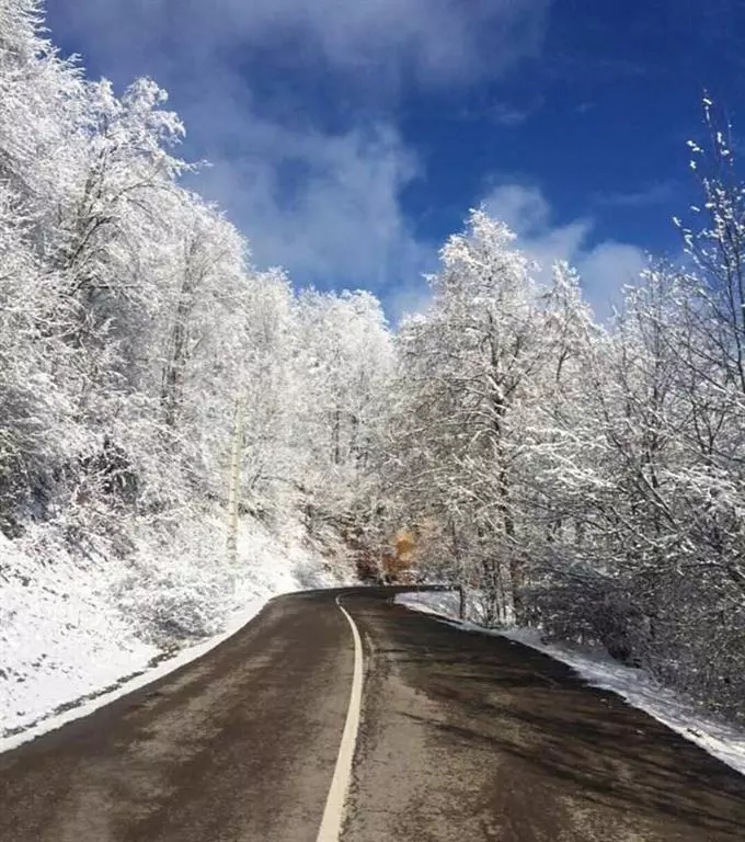 آب پری کجاست